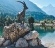 Wenn ein Steinbock am 8. Januar Horoskop Leser wird, so wird er dann nur das vorausgesagt finden, was sich im restlichen Jahr tatsächlich einstellen wird. ( Foto: Shutterstock-Luka Stular )