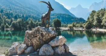 Wenn ein Steinbock am 8. Januar Horoskop Leser wird, so wird er dann nur das vorausgesagt finden, was sich im restlichen Jahr tatsächlich einstellen wird. ( Foto: Shutterstock-Luka Stular )